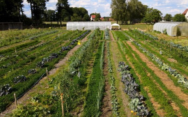 Baumpflanzaktion und Informationen zu Biotoplandwirtschaft, Permakultur und Agroforst