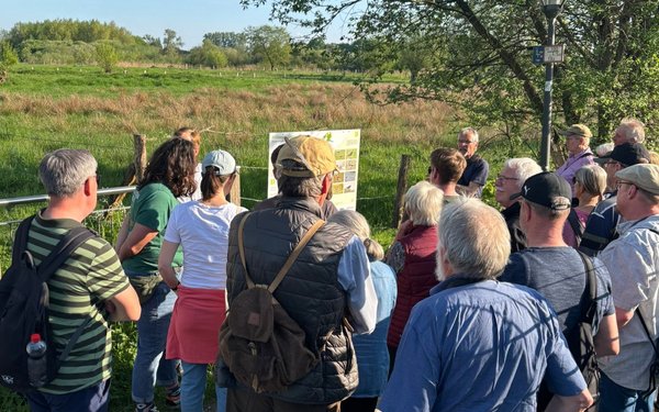 Feuchtwiesenschutz und Klimawandel