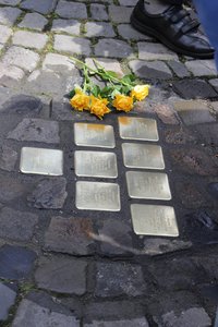 Auf dem Boden liegen Stolper-steine.
Sie sehen gelbe Blumen.