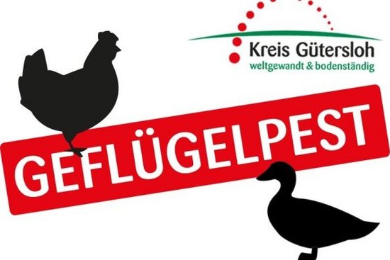 Das Symbolbild zeigt die Schatten von einem Huhn und einer Ente sowie den Schriftzug "Geflügelpst" in Großbuchstaben.