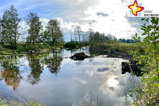 Etwas breiter als bisher und ihrem natürlichen Verlauf folgend fließt die Ems in Westerwiehe entlang der Stadtgrenze.