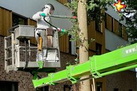 Ein Mitarbeiter eines Fachbetriebs entfernt ein Eichenprozessionsspinner-Nest. Er steht im Korb eines Hubwagens und trägt einen Schutzanzug und Maske. Archivfoto.