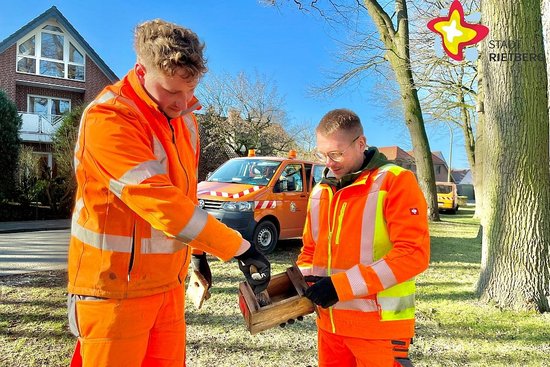 Zwei Männer in orangefarbener Arbeitskleidung  reinigen mit einer Bürste einen Nistkasten.