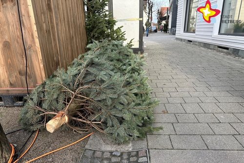 Ein ausgedienter und abgeschmückter Tannenbaum liegt am Straßenrand.