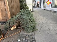Ein ausgedienter und abgeschmückter Tannenbaum liegt am Straßenrand.