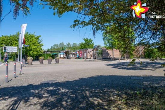 Grüne Äste hängen von oben ins Bild, das einen leeren Platz zeigt.