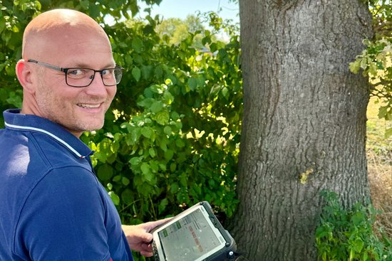 Baumkontrolleur Markus Hökenschnieder steht mit einem speziellen Tablet vor einer etwa 80 Jahre alten Stileiche.